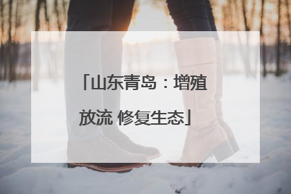 山东青岛：增殖放流 修复生态