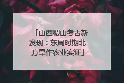 山西稷山考古新发现：东周时期北方旱作农业实证
