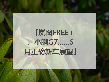 岚图FREE+、小鹏G7……6月重磅新车展望