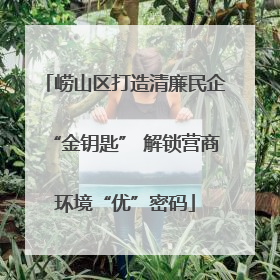 崂山区打造清廉民企“金钥匙” 解锁营商环境“优”密码