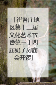 崔各庄地区第十三届文化艺术节暨第三十四届奶子房庙会开锣