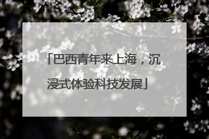 巴西青年来上海，沉浸式体验科技发展