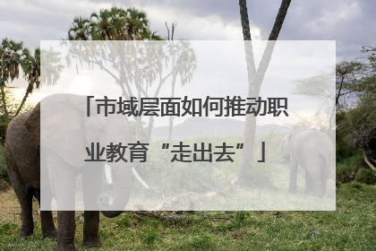 市域层面如何推动职业教育“走出去”