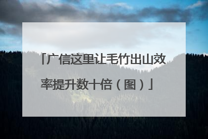 广信这里让毛竹出山效率提升数十倍（图）