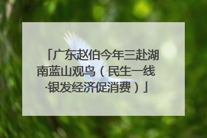 广东赵伯今年三赴湖南蓝山观鸟（民生一线·银发经济促消费）