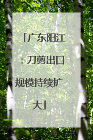 广东阳江：刀剪出口规模持续扩大