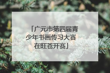 广元市第四届青少年书画传习大赛在旺苍开赛