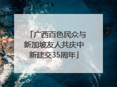 广西百色民众与新加坡友人共庆中新建交35周年