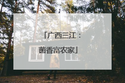 广西三江：菌香富农家