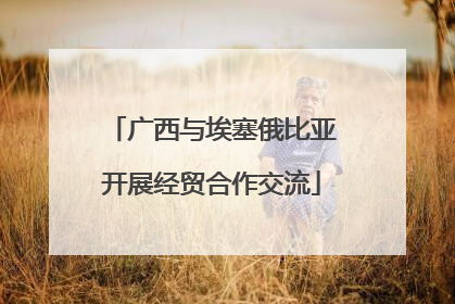 广西与埃塞俄比亚开展经贸合作交流