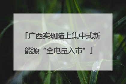 广西实现陆上集中式新能源“全电量入市”