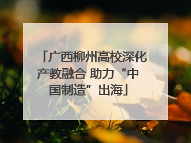 广西柳州高校深化产教融合 助力“中国制造”出海
