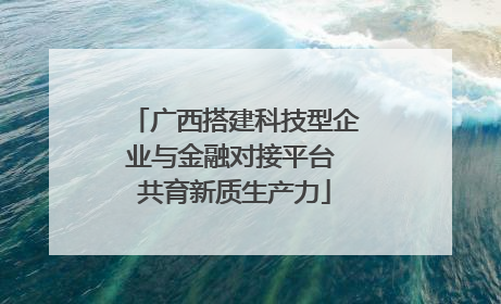 广西搭建科技型企业与金融对接平台 共育新质生产力