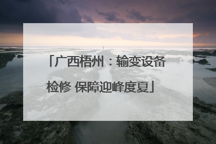 广西梧州：输变设备检修 保障迎峰度夏