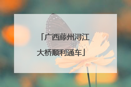 广西藤州浔江大桥顺利通车