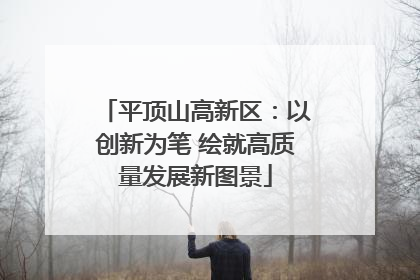 平顶山高新区：以创新为笔 绘就高质量发展新图景