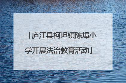 庐江县柯坦镇陈埠小学开展法治教育活动