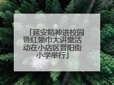 延安精神进校园暨红领巾大讲堂活动在小店区晋阳街小学举行