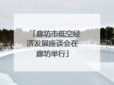 廊坊市低空经济发展座谈会在廊坊举行