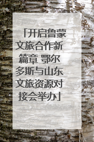 开启鲁蒙文旅合作新篇章 鄂尔多斯与山东文旅资源对接会举办