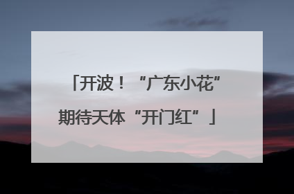 开波！“广东小花”期待天体“开门红”