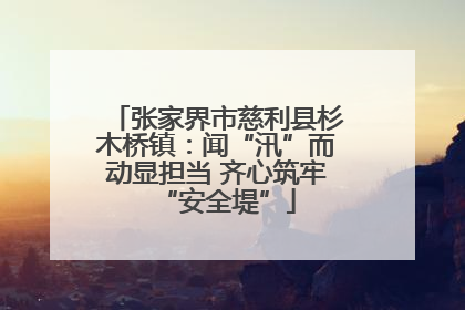 张家界市慈利县杉木桥镇：闻“汛”而动显担当 齐心筑牢“安全堤”