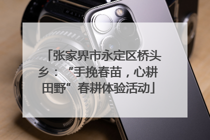 张家界市永定区桥头乡：“手挽春苗，心耕田野”春耕体验活动