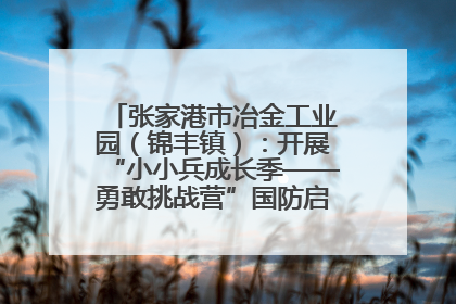 张家港市冶金工业园（锦丰镇）：开展“小小兵成长季——勇敢挑战营”国防启蒙教育活动