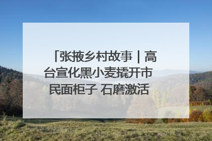 张掖乡村故事｜高台宣化黑小麦撬开市民面柜子 石磨激活村集体钱匣子