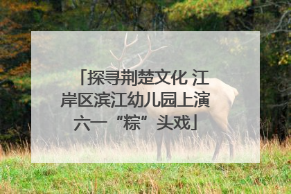 探寻荆楚文化 江岸区滨江幼儿园上演六一“粽”头戏