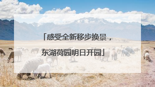 感受全新移步换景，东湖荷园明日开园
