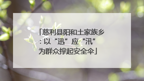 慈利县阳和土家族乡：以“迅”应“汛” 为群众撑起安全伞