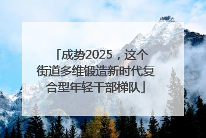 成势2025，这个街道多维锻造新时代复合型年轻干部梯队