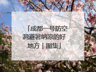 成都一号防空洞避暑纳凉的好地方｜图集