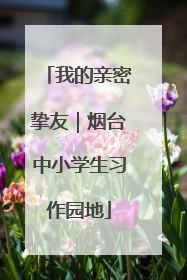 我的亲密挚友｜烟台中小学生习作园地