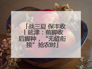战三夏 保丰收丨延津：前脚收 后脚种，“无缝衔接”抢农时