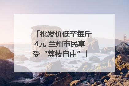 批发价低至每斤4元 兰州市民享受“荔枝自由”