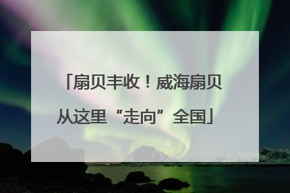 扇贝丰收！威海扇贝从这里“走向”全国