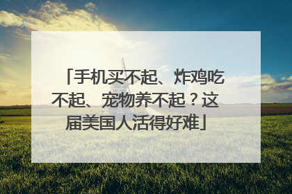 手机买不起、炸鸡吃不起、宠物养不起？这届美国人活得好难
