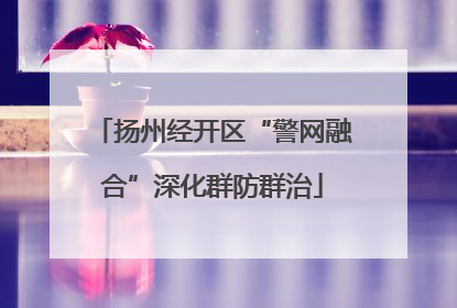 扬州经开区“警网融合”深化群防群治