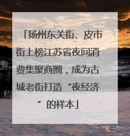 扬州东关街、皮市街上榜江苏省夜间消费集聚商圈，成为古城老街打造“夜经济”的样本