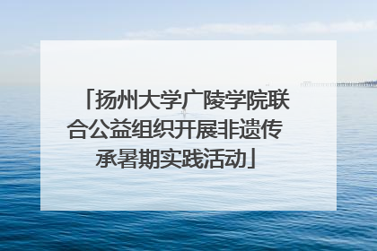 扬州大学广陵学院联合公益组织开展非遗传承暑期实践活动