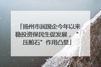 扬州市属国企今年以来稳投资保民生促发展，“压舱石”作用凸显
