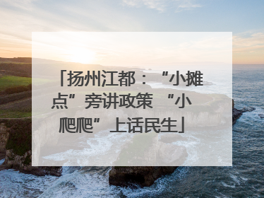 扬州江都：“小摊点”旁讲政策 “小爬爬”上话民生