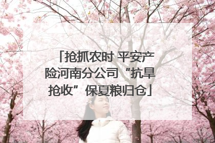 抢抓农时 平安产险河南分公司“抗旱抢收”保夏粮归仓