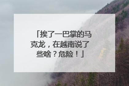 挨了一巴掌的马克龙，在越南说了些啥？危险！