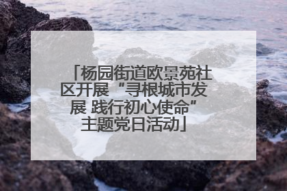 杨园街道欧景苑社区开展“寻根城市发展 践行初心使命”主题党日活动
