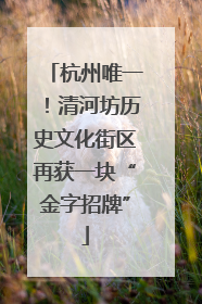 杭州唯一！清河坊历史文化街区再获一块“金字招牌”