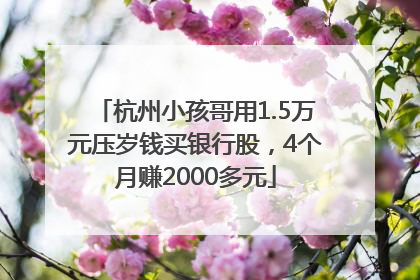 杭州小孩哥用1.5万元压岁钱买银行股，4个月赚2000多元