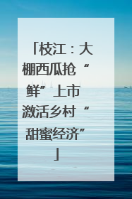 枝江：大棚西瓜抢“鲜”上市 激活乡村“甜蜜经济”